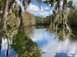 Hobcaw Barony