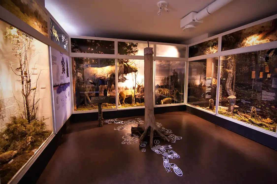 Hotel in zona Museo estone di Storia Naturale