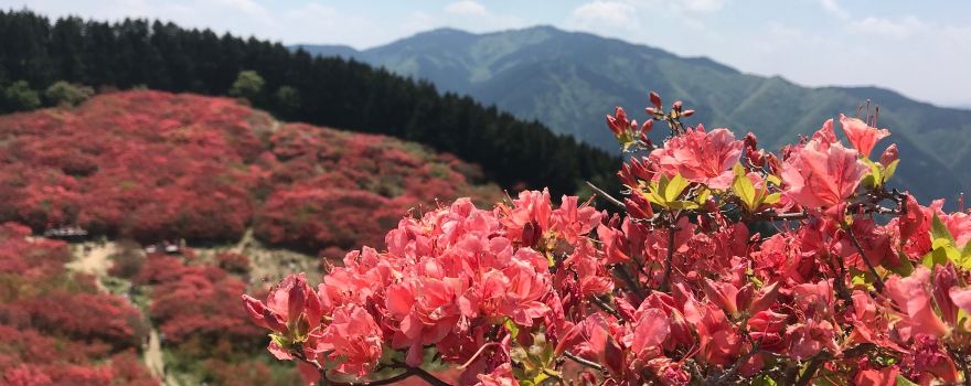 Katsuragi Highlands