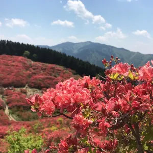 葛城高原