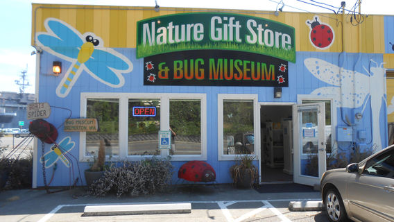 Bug & Reptile Museum