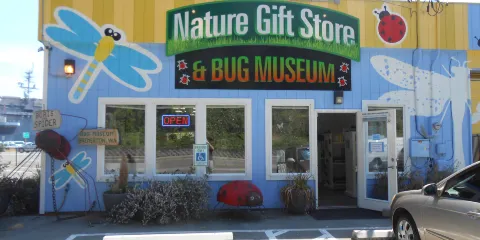 Bremerton Bug Museum