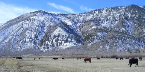 Dangberg Home Ranch Historic Park