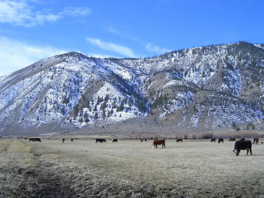 Hotels in der Nähe von Dangberg Home Ranch Historic Park