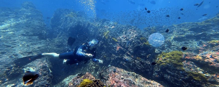 Similan Seven Sea Club