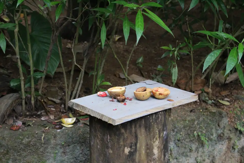 5_Susantha Spice & Herbal Garden