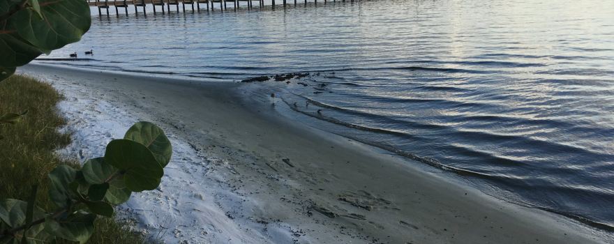 Harbor Heights Park