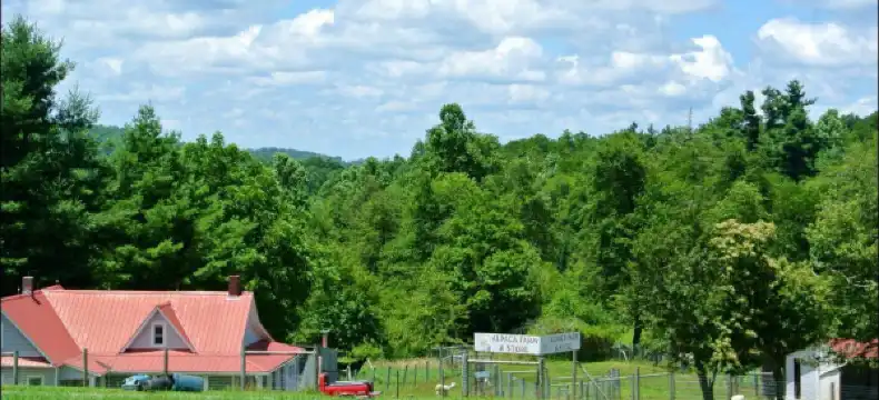 Hotels in Piper Gap