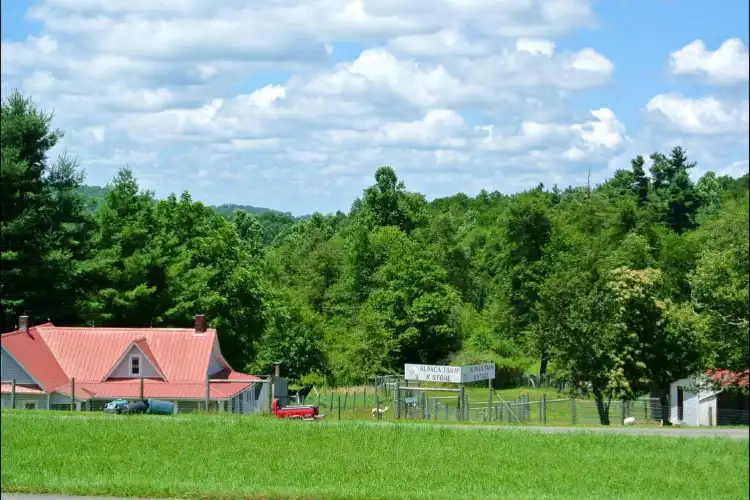 Hotels in Piper Gap