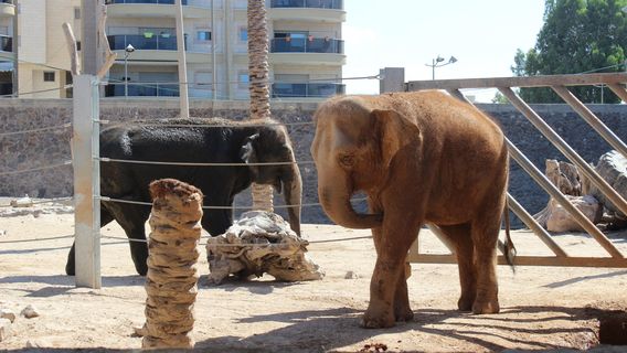 Hai Park Kiryat Motzkin
