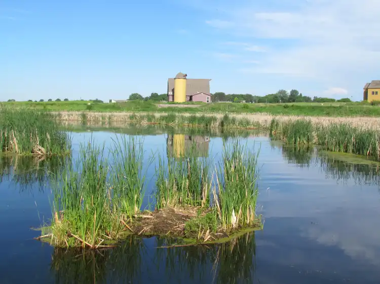 Fergus Falls