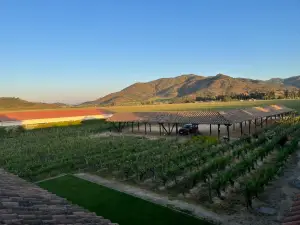 Vina  Los Vascos