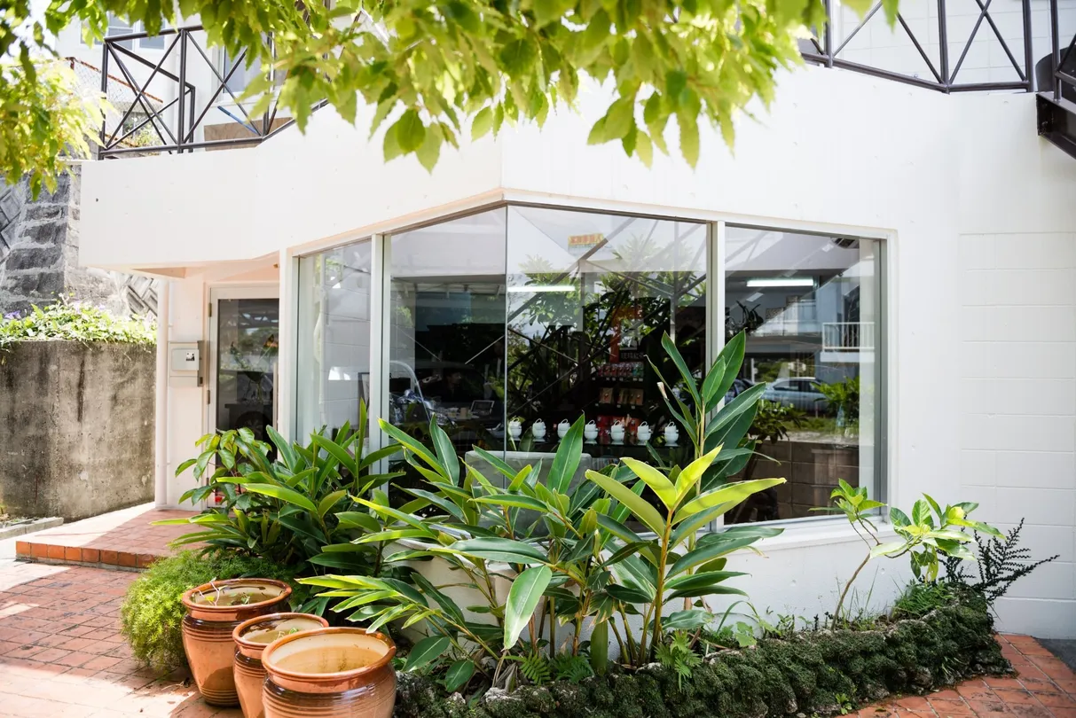 1_Okinawa Tea Factory