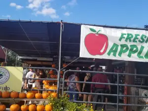 Windy Hill Orchard & Cidery