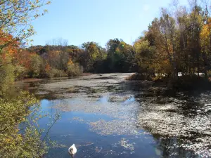 Plimoth Grist Mill
