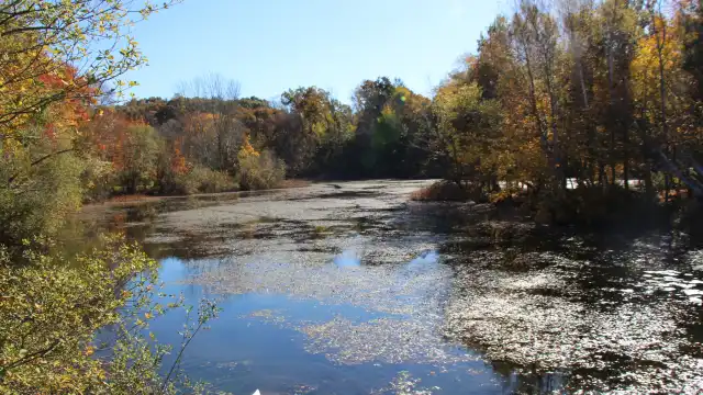 Hotels near Plimoth Grist Mill