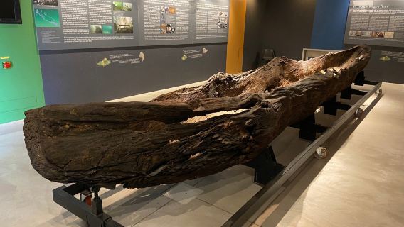 Civic Museum of Crema