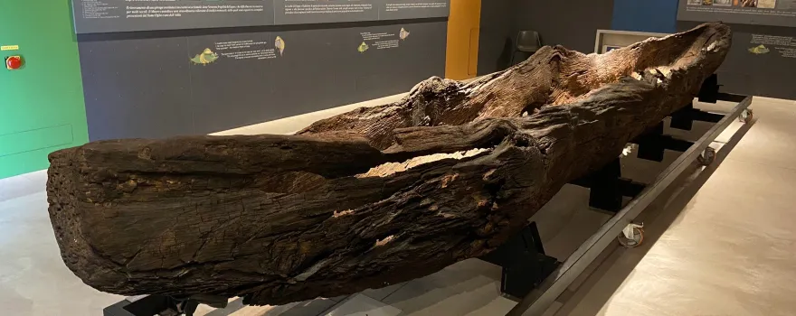 Museo Civico di Crema e del Cremasco
