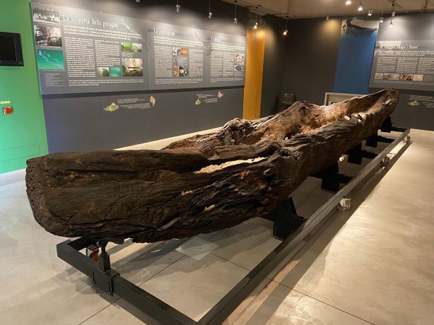Civic Museum of Crema