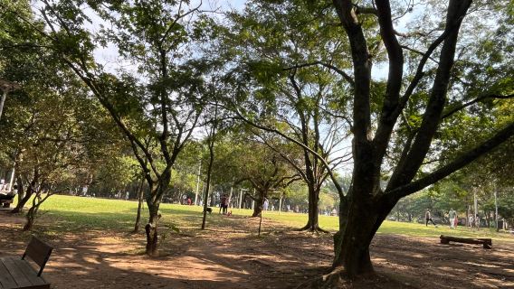 Parque da Luz