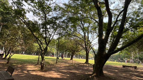 Parque da Luz