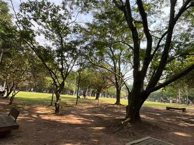 Parque da Luz