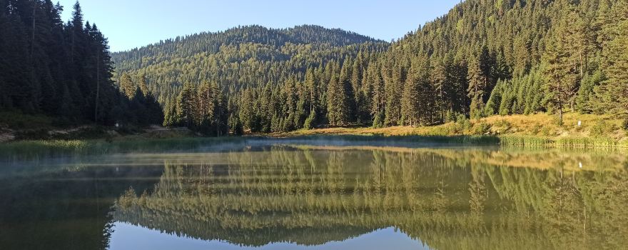 Yenice