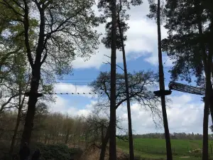 Go Ape Woburn