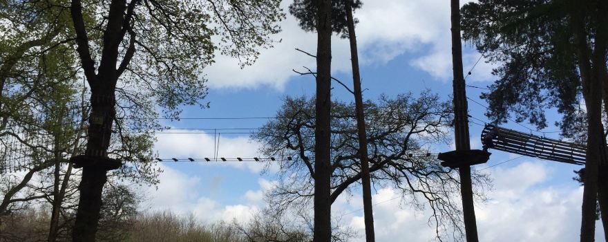 Go Ape Woburn