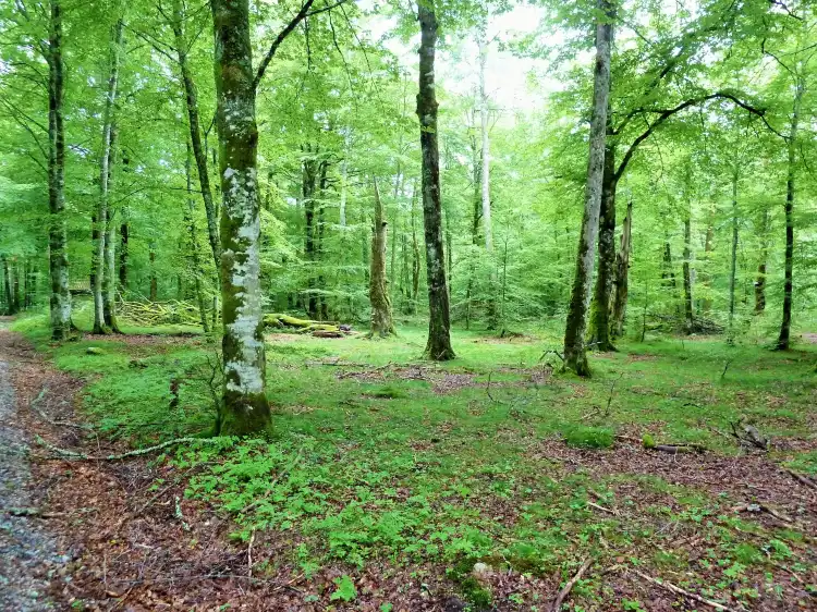 Hôtels à : Torslanda