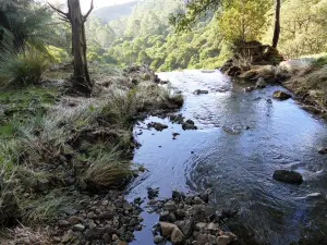 Preston Falls