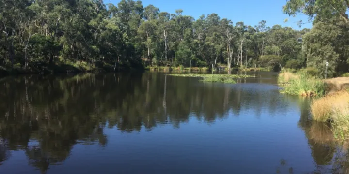 Candlebark Walk Reserve