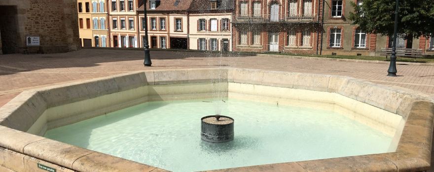 Musee De La Dames aux Camelias