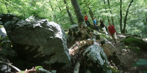 Hohenwittlingensteig