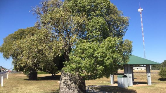 Capella Cultural Centre