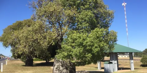 Capella Cultural Centre