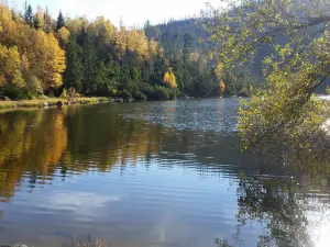 Plesne Lake