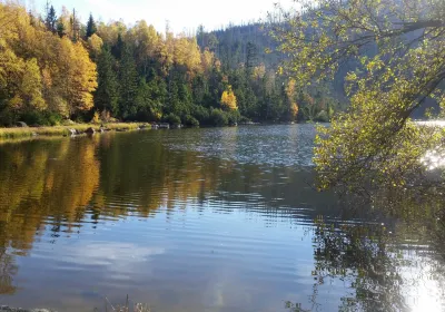 Nová Pec