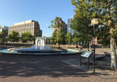 阿靈頓