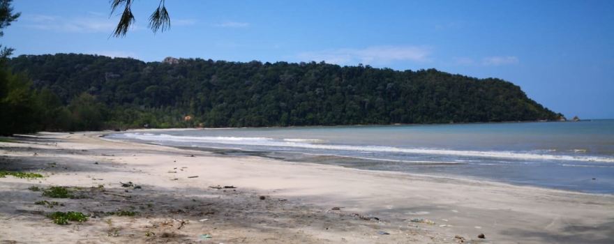 Penyabong