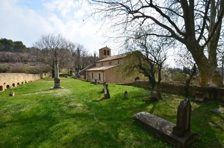 Vaugines