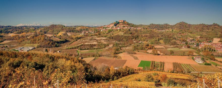 Azienda Agricola Cournaja
