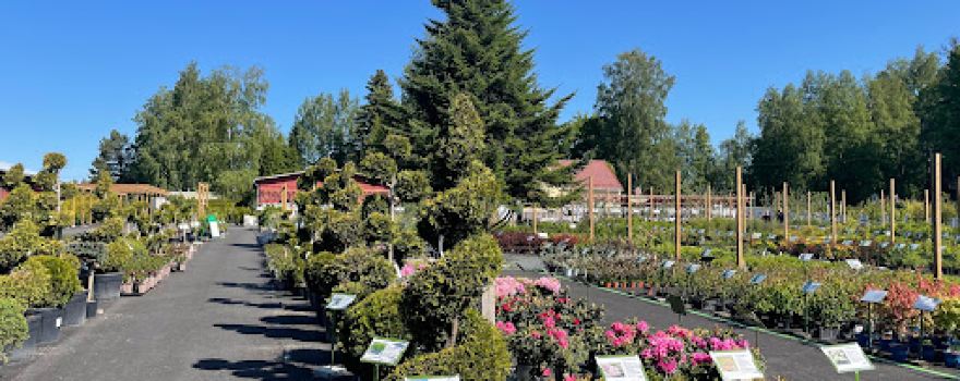 Pinsiön Nursery
