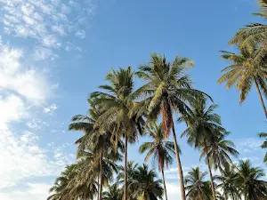 PANTAI PUDONGGALA