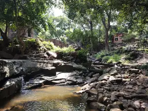 Rishian Ashram