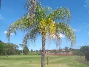 Paradão Park