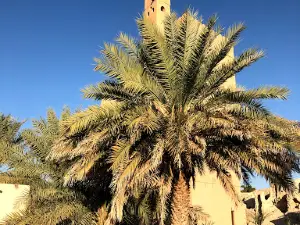 Fortress of Fiqain (Fiqain Castle)