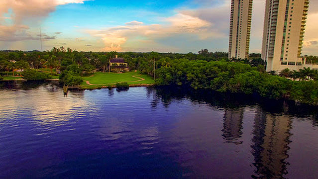 White Orchid at Oasis