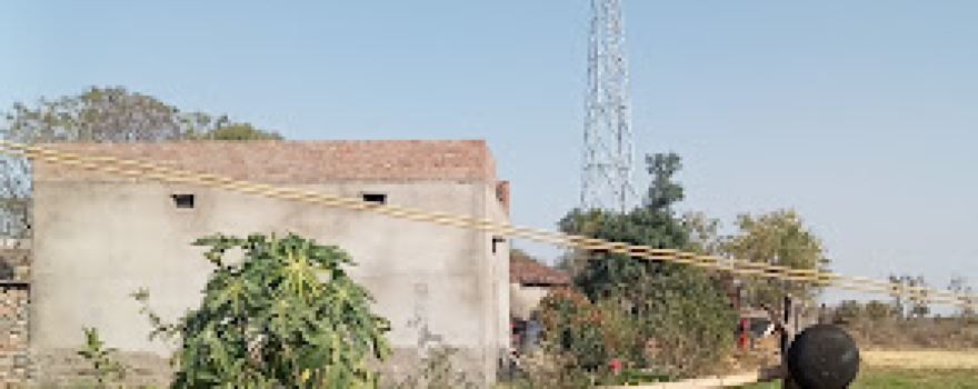 Hanuman Ji Mandir , Jetpura ( Kaniya Kheda) Palsoda