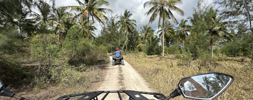 Zanzibar Quad Safari